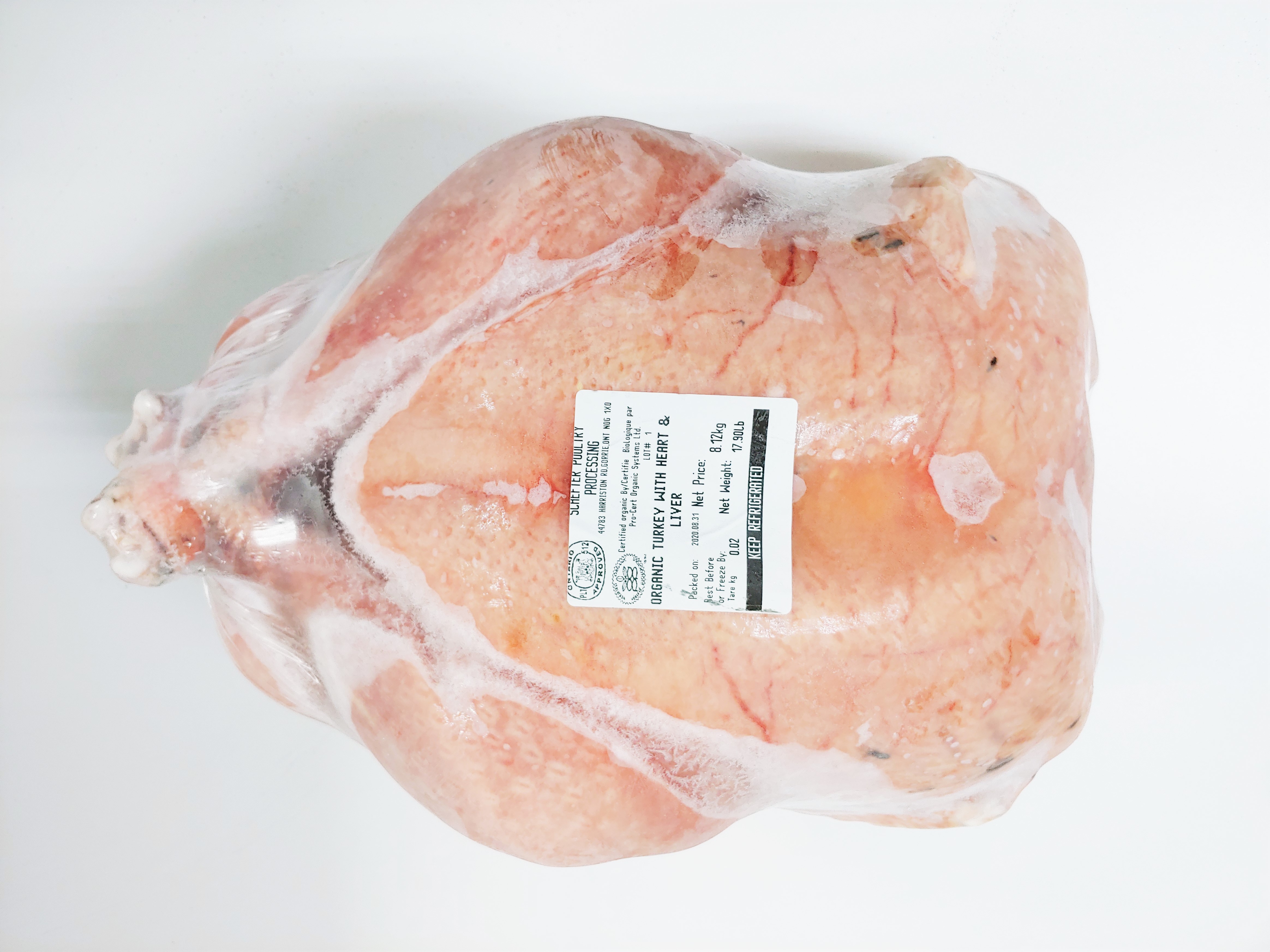 Orlopp Bronze Turkey