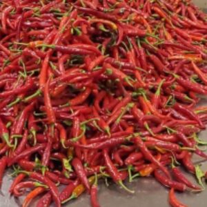 Red Cayenne Chili